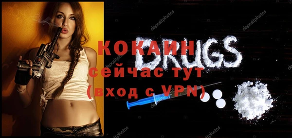 прущий лед Алзамай