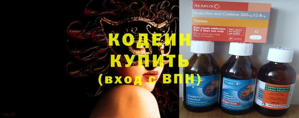прущий лед Алзамай
