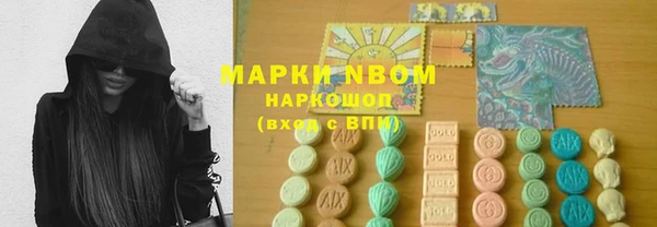 прущий лед Алзамай