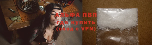 прущий лед Алзамай