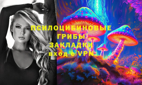 прущий лед Алзамай